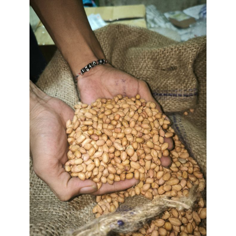 

1 Kg Kacang Tanah Mentah ( Ukuran Kecil )