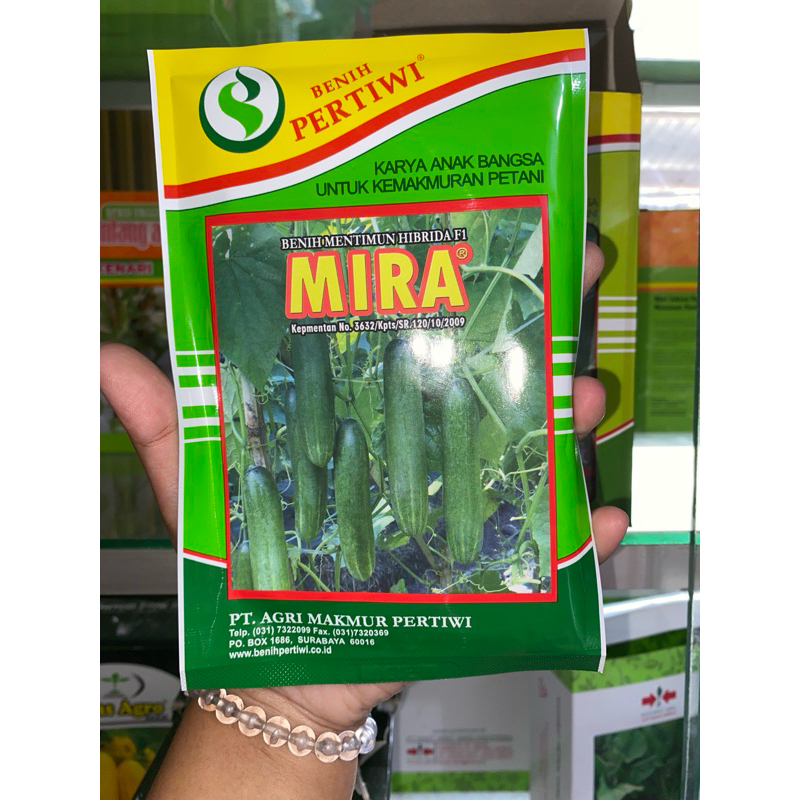 Timun Mira 25 gr Benih Pertiwi