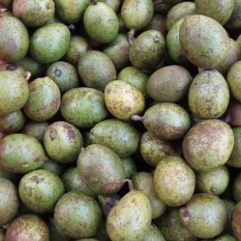 

Buah Matoa 1kg