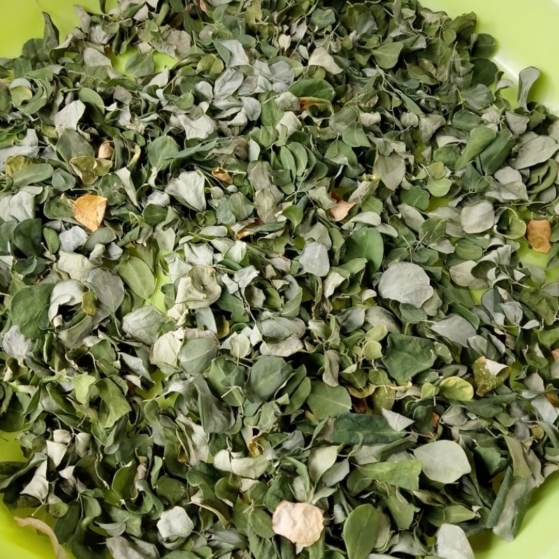 

Daun kelor kering