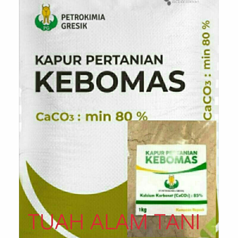 Dolomit kapur pertanian KEBOMAS Repak 1 kg