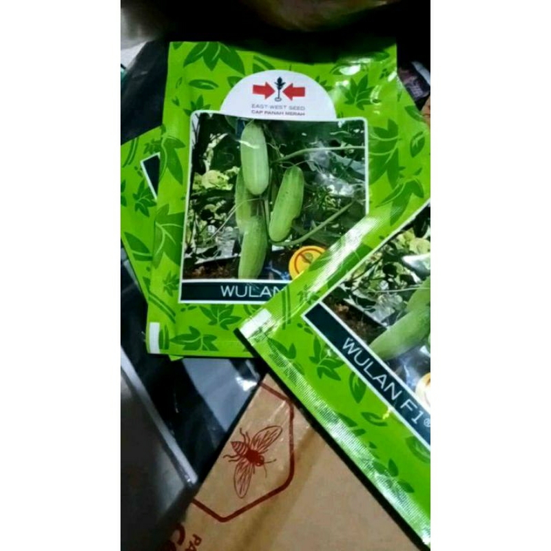 Benih timun lalap hijau jenis wulan kemasan repack isi 50 biji benih mentimun hijau lalapan timun hi