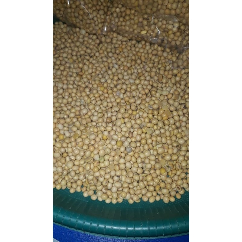

Kacang Kedelai Original