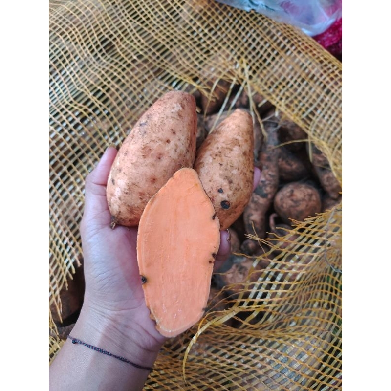 

*Telo oren madu 1 kg