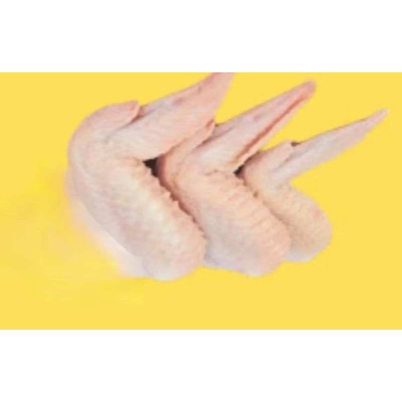 

chicken wings frozen mentah / sayap tengah