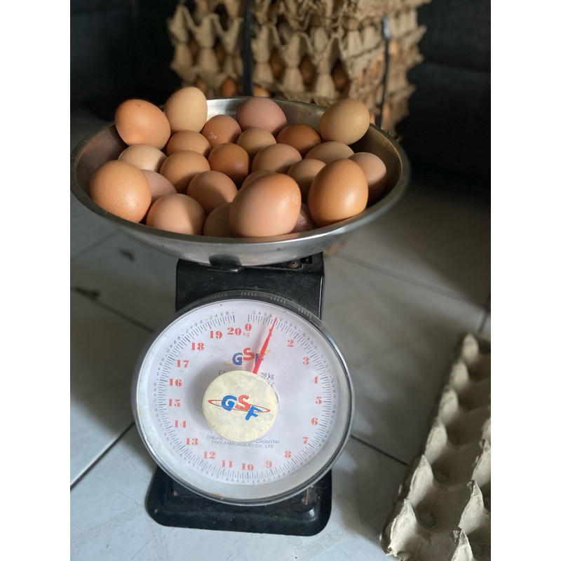 

Telur Ayam Negeri Mini 1kg