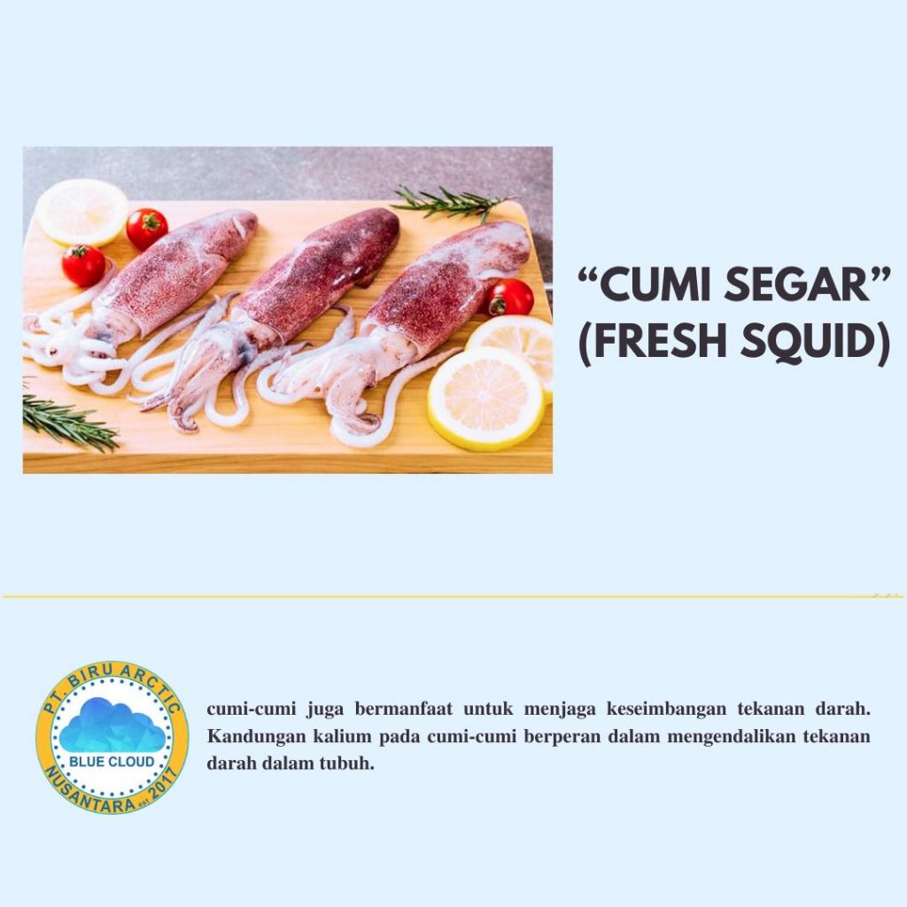

Fresh Squid 1Kg
