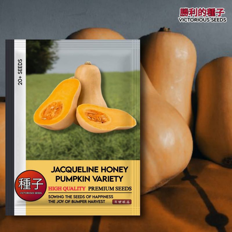 1 Pack (20 Butir) Benih Labu Jacqueline Honey Kemasan Import