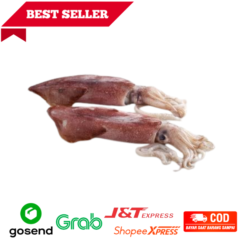 

Ikan Cumi-Cumi Basah Fresh Cumi Sero Freshmart Go