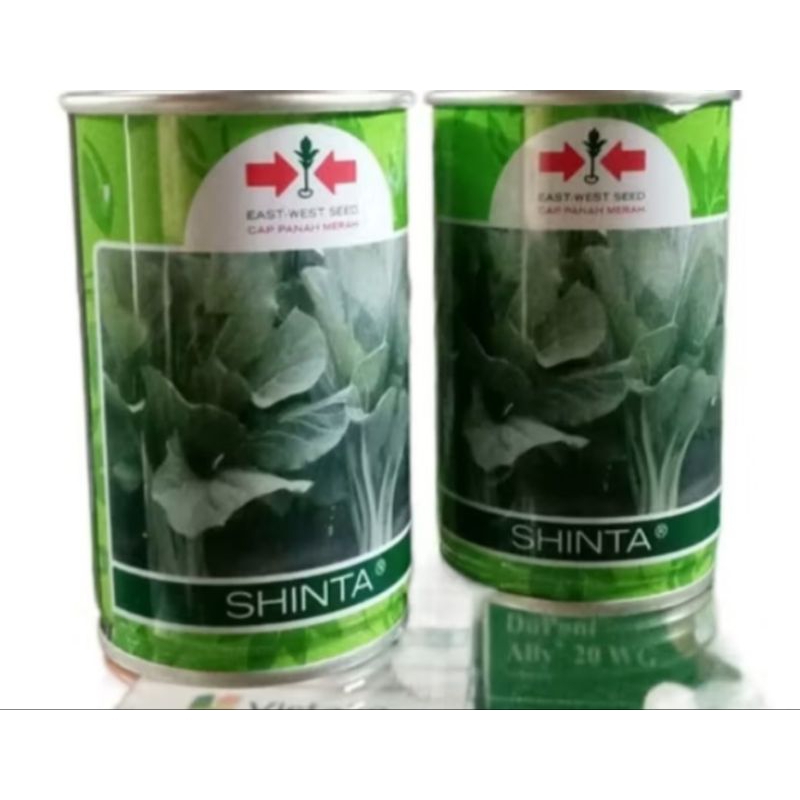 

sawi shinta kalengan