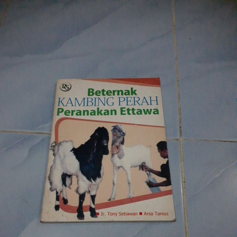 Beternak kambing perah peranakan etawa