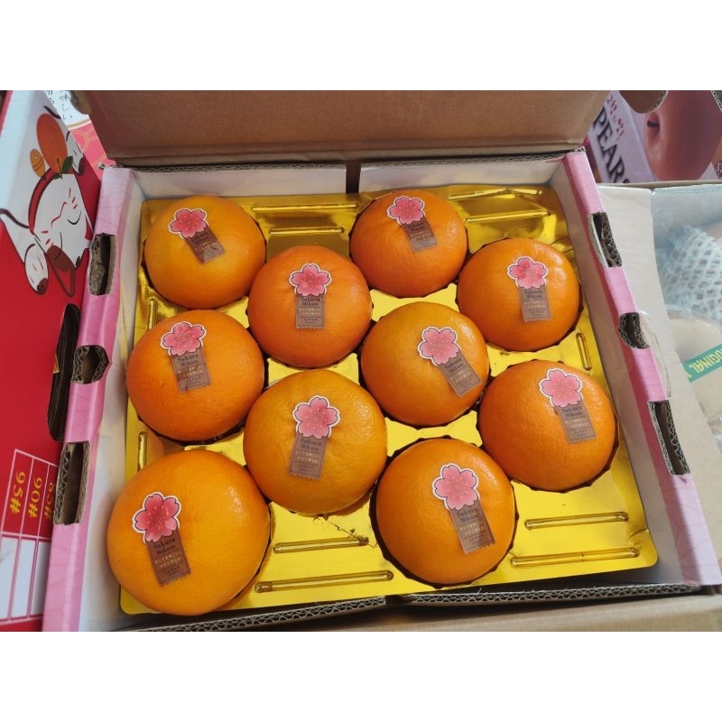 

Buah jeruk mikam sakura bibit jepang manis premium 1 kg