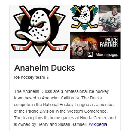 Promo Topi Snapback new era NHL Anaheim mighty Ducks original topi snapback New era