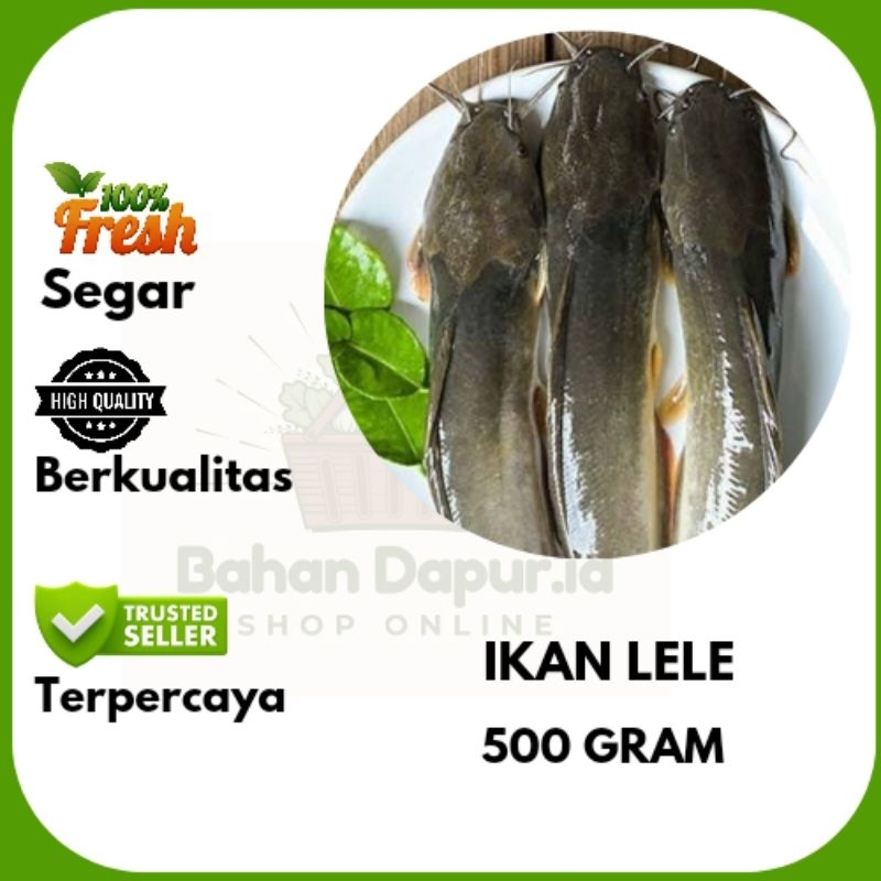

IKAN LELE SUDAH BERSIH | 500 GRAM ISI 3-4 EKOR| Bahan Dapur .id