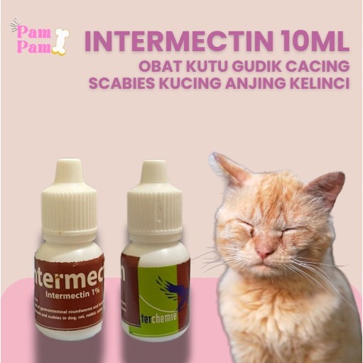 Obat Cacing Gatal Scabies Intermectin Oral 10 Ml Obat Kutu Gatal Gudik Cacing Scabies Kucing Anjing 