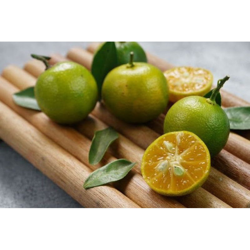 

JERUK KASTURI (10 BUAH) // JERUK SONKIT//KALAMANSI//
