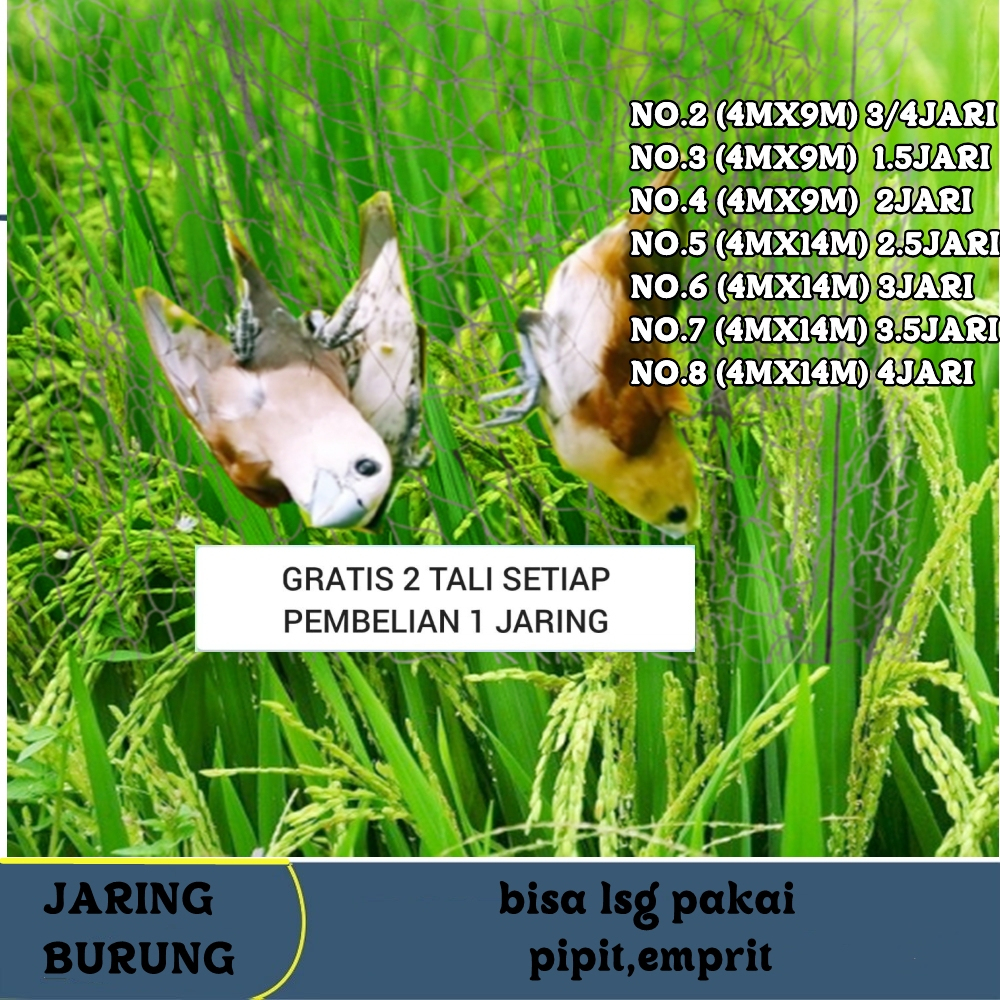 JARING BURUNG TRUCUKAN JARING BURUNG SAWAH SIAP PAKAI JARING JARING BURUNG KUTILANG