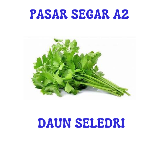 

DAUN SELEDRI PASAR SEGAR MAKASSAR/PASAR TERONG ONLINE MAKASSAR