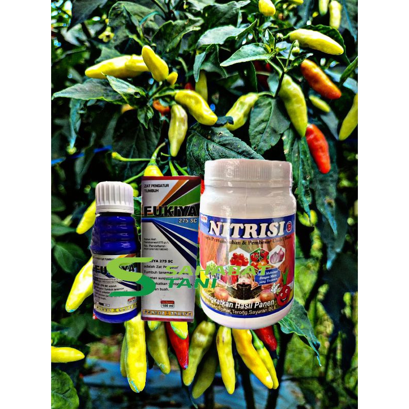 Paket Nitrisi B & Fukiya100ml