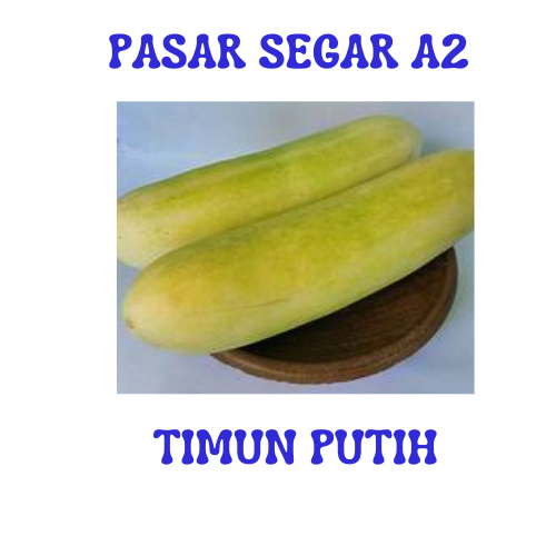 

TIMUN PUTIH PASAR SEGAR MAKASSAR/PASAR TERONG ONLINE MAKASSAR