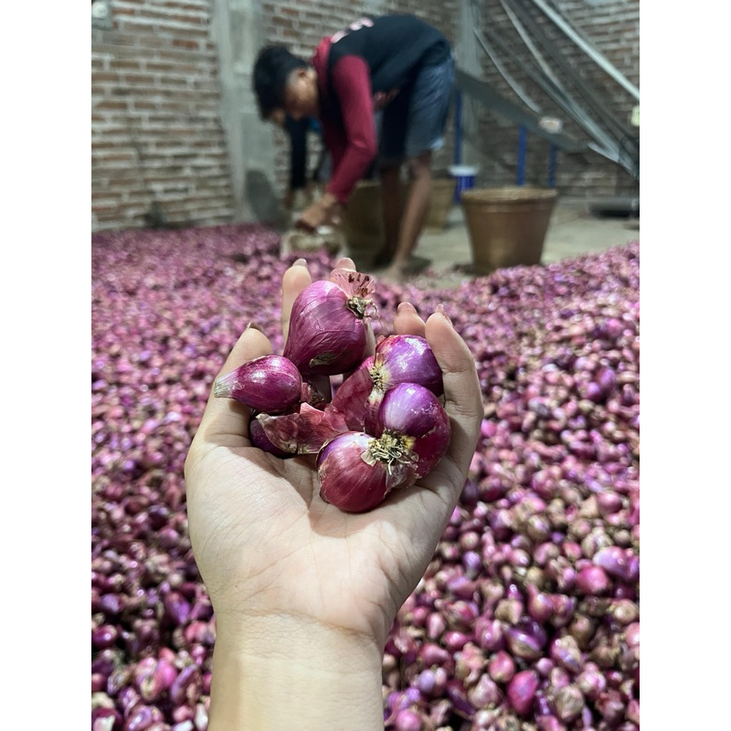 

BAWANG MERAH KERING 1 KG UKURAN TANGGUNG BESAR