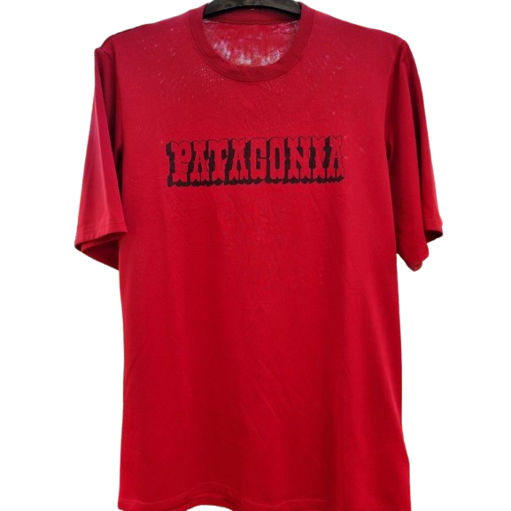 Patagonia T-shirt