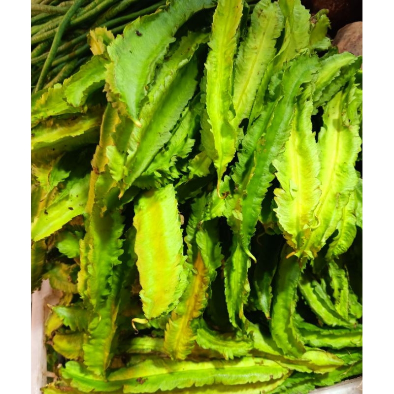 

sayur kecipir segar 500gr