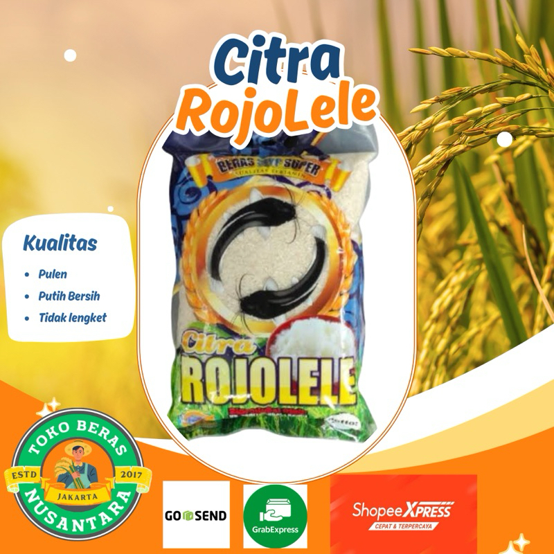 

ROJOLELE CITRA - Beras Putih Bersih, Pulen, dan Berkualitas Premium Berat 5 Liter/ 3 Kg / 5kg / 10 kg / 20 kg