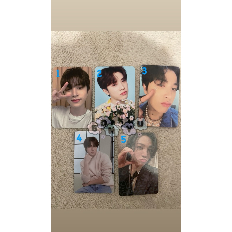 PC JUNGHWAN TREASURE