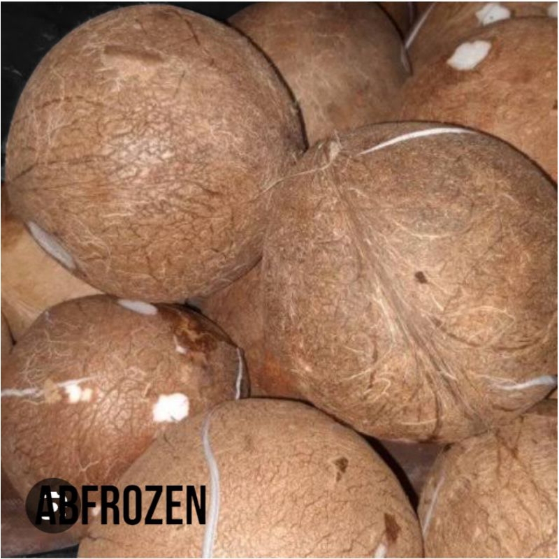 

kelapa tua utuh