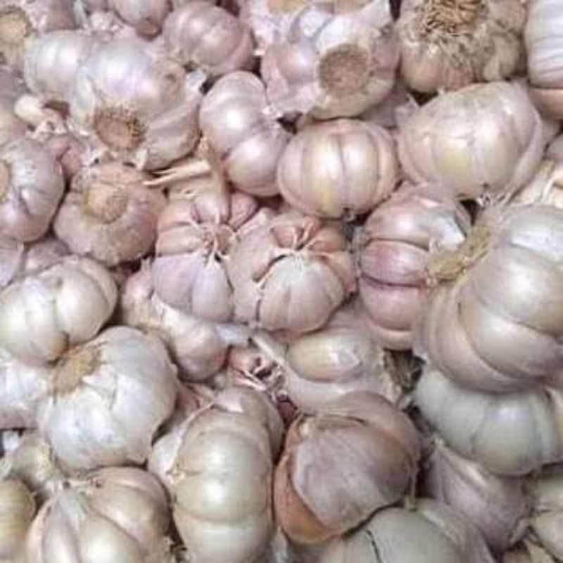 

( 250gr ) Baput Bawang Putih Sinco Kiloan