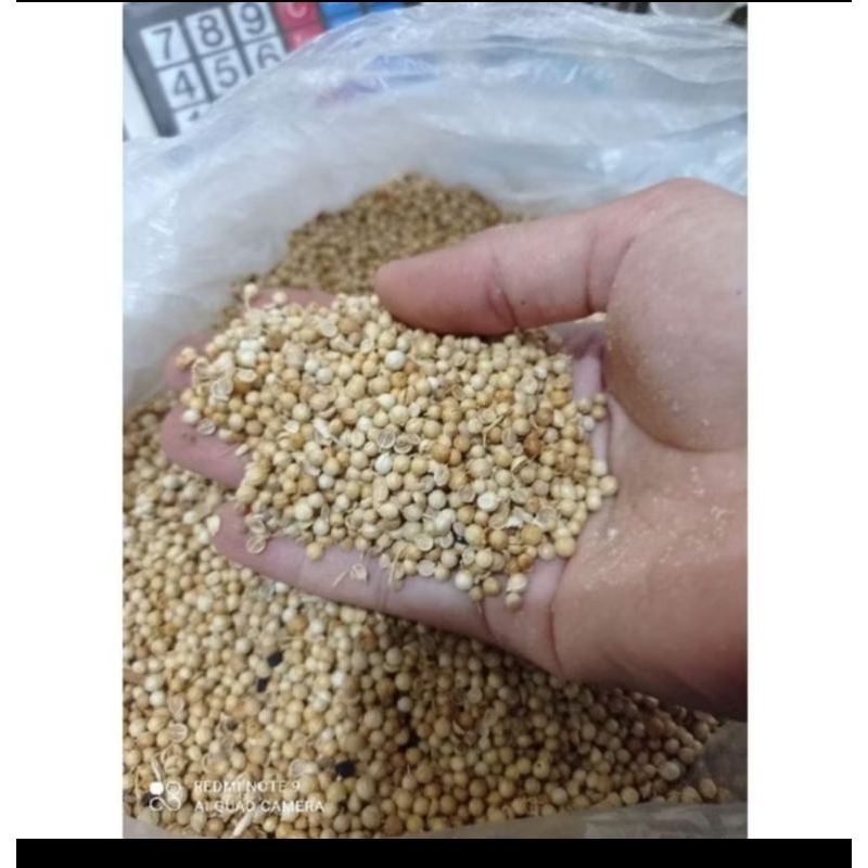 

Ketumbar Bumbu Dapur 100gram