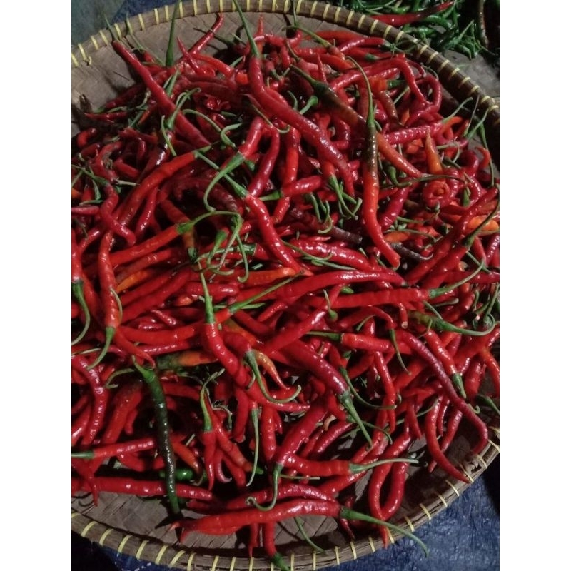 

CABE MERAH KERITING TERLARIS 200 GR