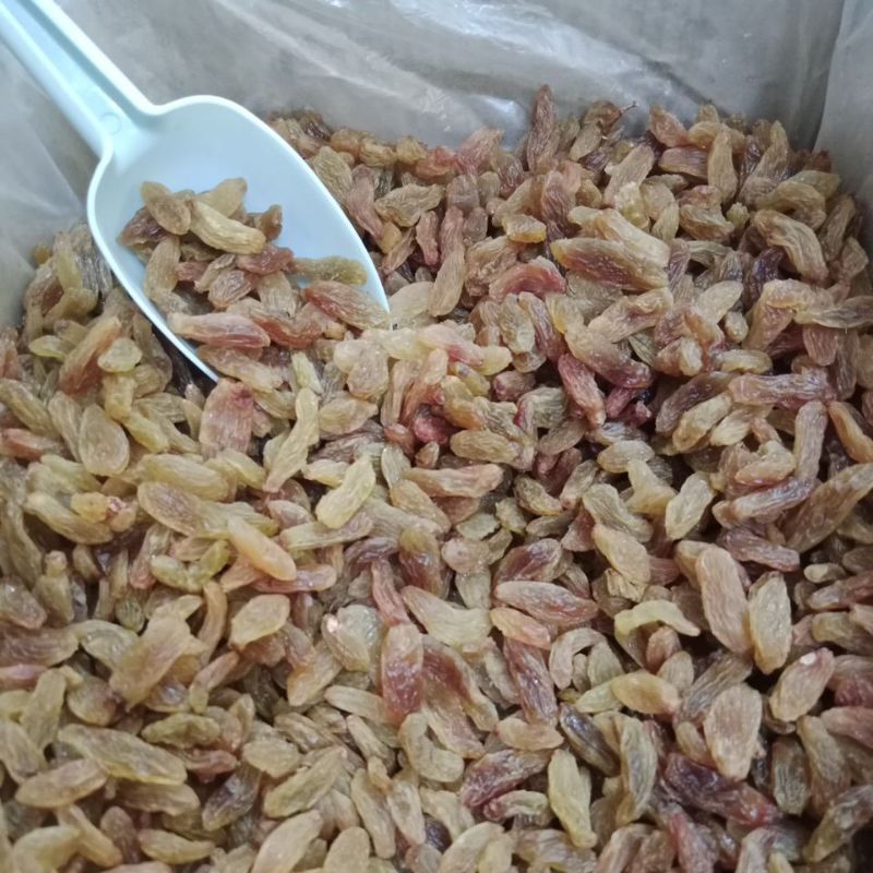 

Kismis Manis Merk Green/kismis 1kg/kismis manis/kismis manis merk green 10kg
