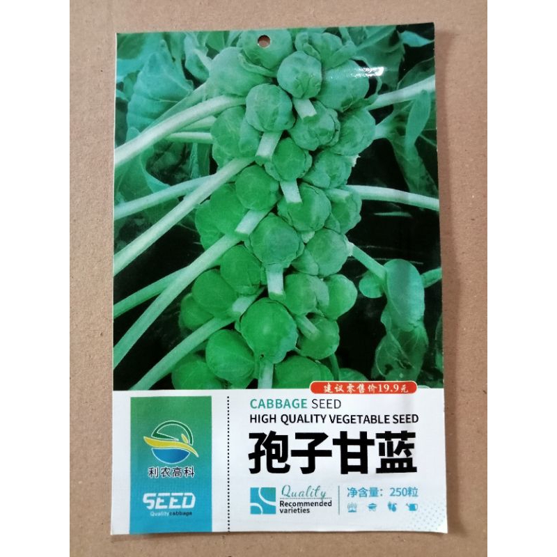 

1000 BUTIR BENIH KUBIS BRUSSEL KEMASAN PREMIUM