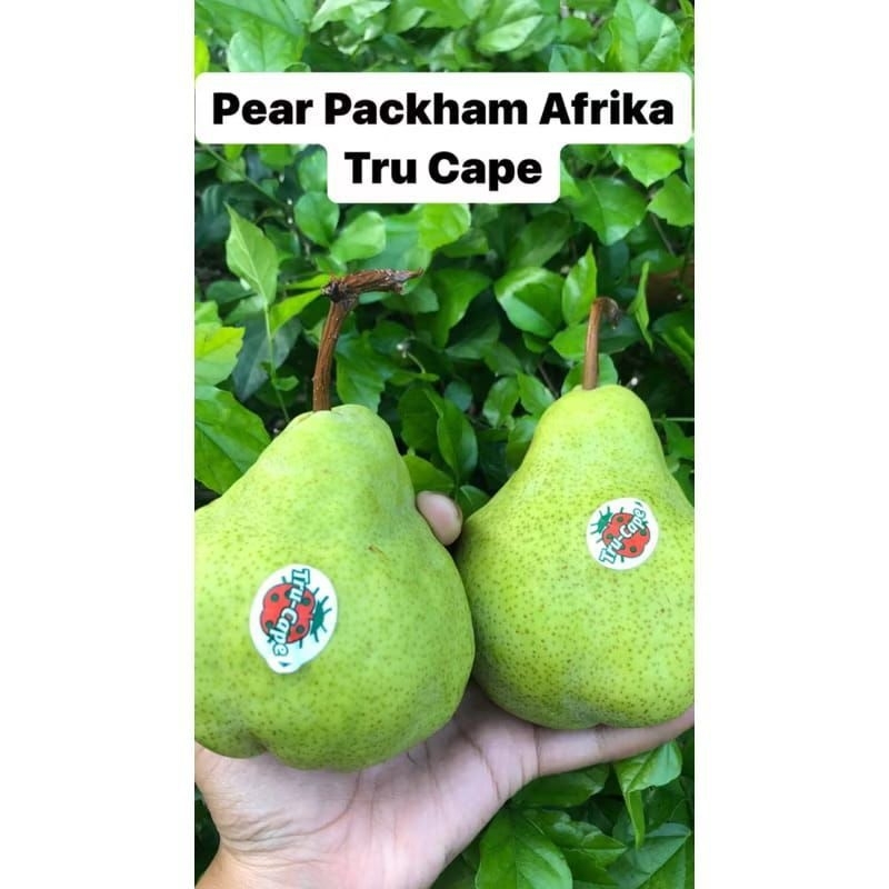 

pear Packham Afrika Tru Cape /kg