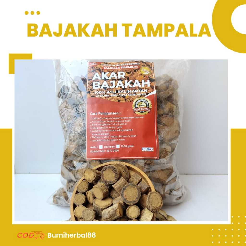 

Bajakah Tampala Asli ( Obat Kanker, Tumor )