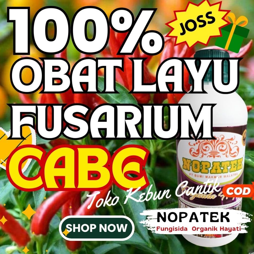 Fungisida Layu Fusarium Cabai NOPATEK 500ML – Obat Anti Layu Fusarium Cabai Organik, Pengendali Layu