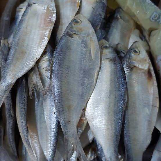 

Ikan Asin Tembang 100gr KIRIM INSTAN