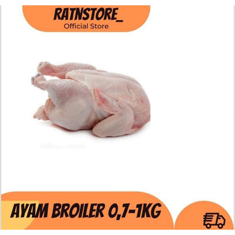 

AYAM KARKAS BROILER & AYAM POTONG FRESH SEGAR