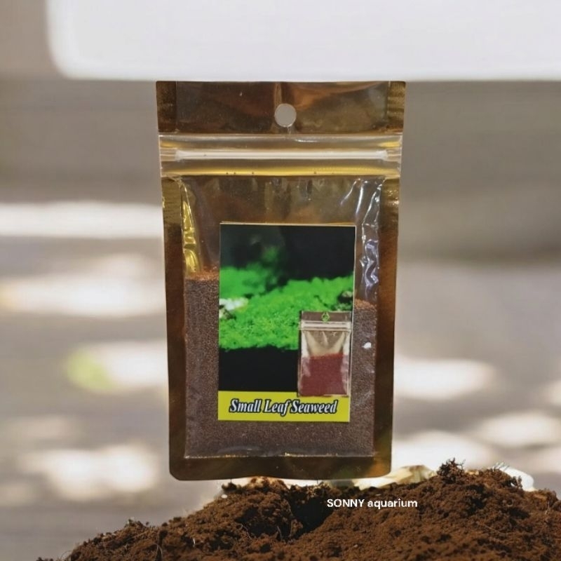 Carpet Seed - Bibit / Benih tanaman Rumput karpet Aquarium & Aquascape