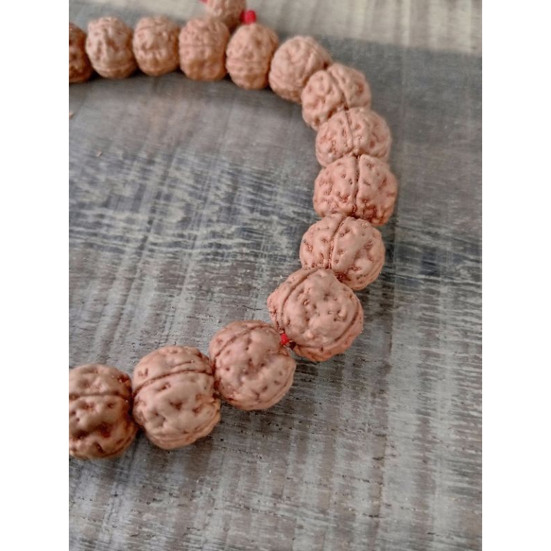 Bisa COD Gelang Jenitri rudraksa mala mukhi 5 murah