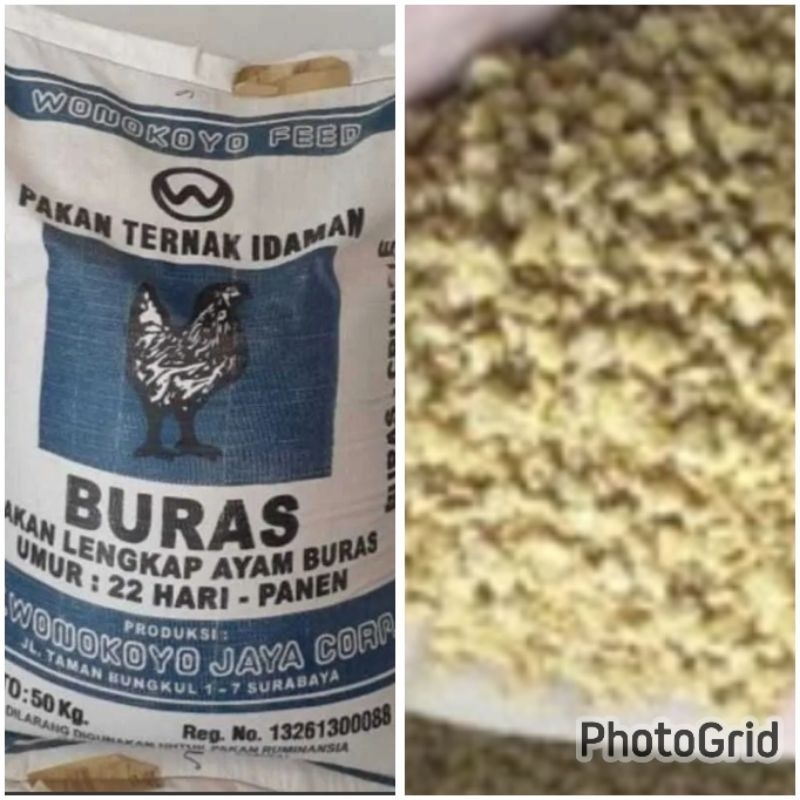 BURAS WONOKOYO PUR AYAM VOER AYAM MURAH PAKAN BEBEK ENTOK SEKILO