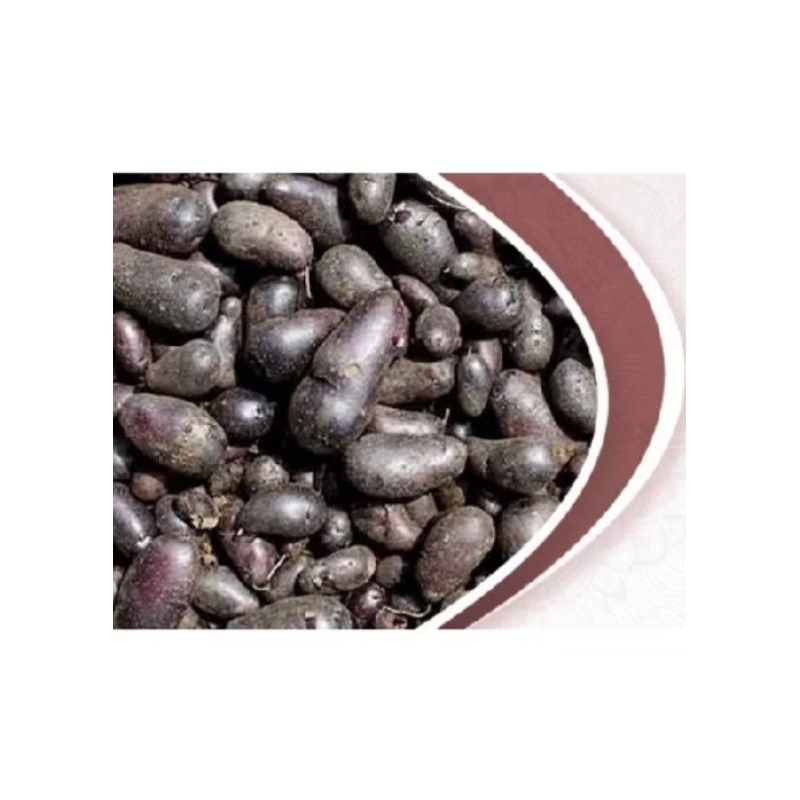 

PROMO 1 KG KENTANG HITAM ORIGINAL