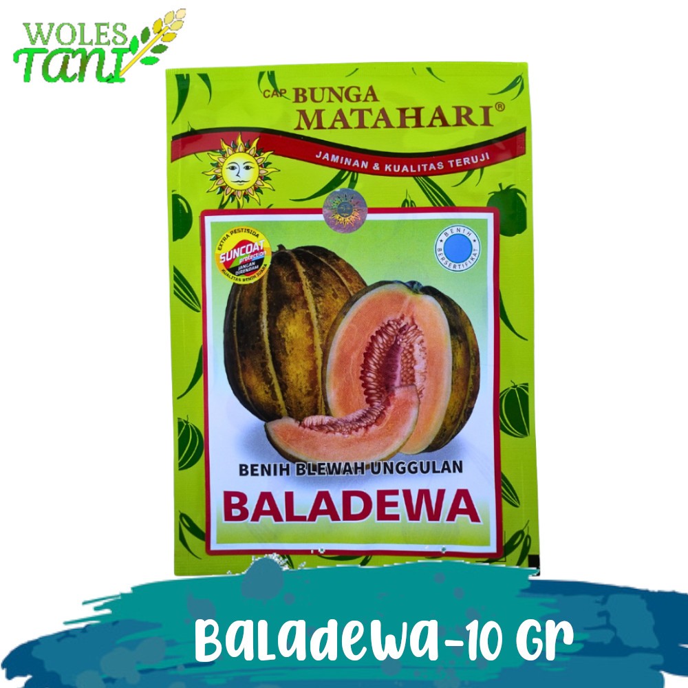 Blewah Baladewa 10 Gram Bisma  Benih Blewah