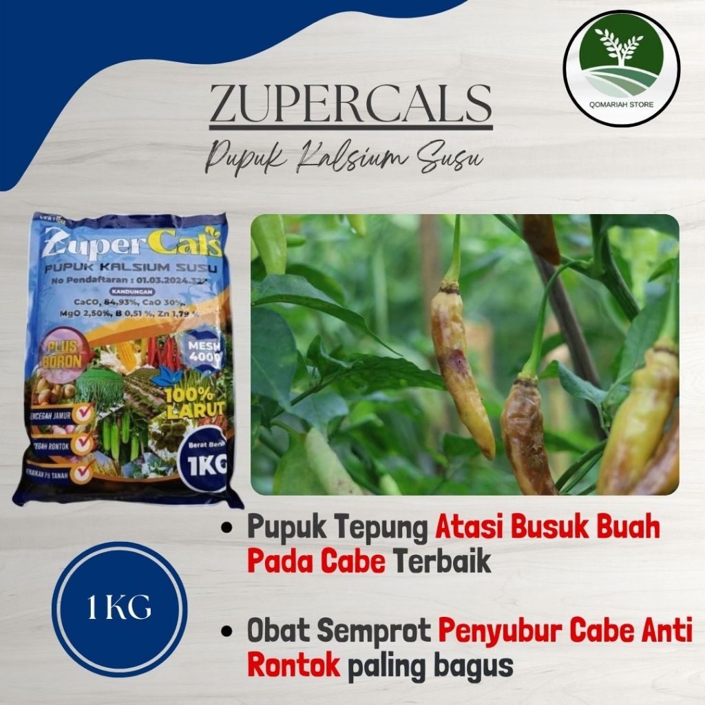 TERBARU ZUPERCALS 1 KG Pupuk Busuk Buah Pada Cabe - Obat Anti Bulai Cabe - Obat Basmi Bule Pada Tana