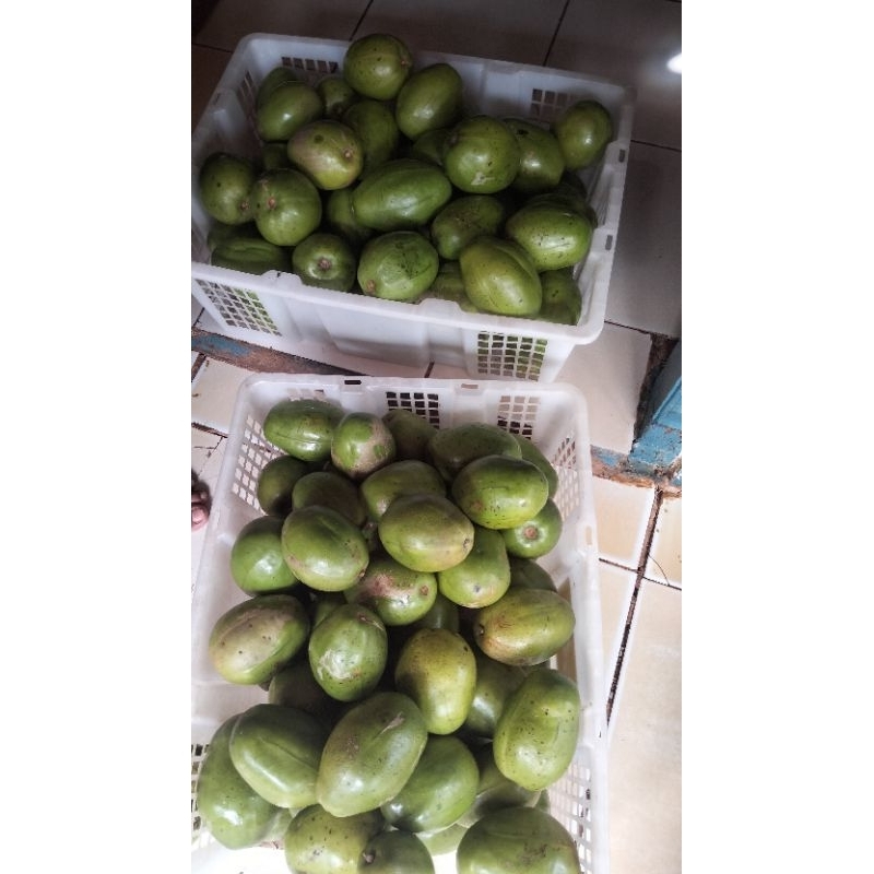 

BUAH KEDONDONG BANGKOK KRIUK