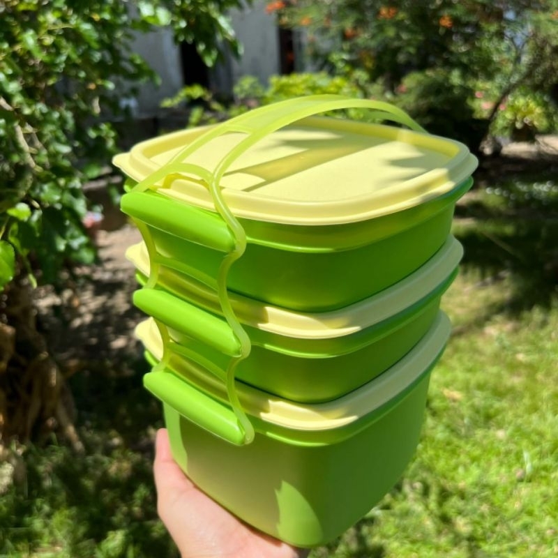 Rantang Golden Sunkist