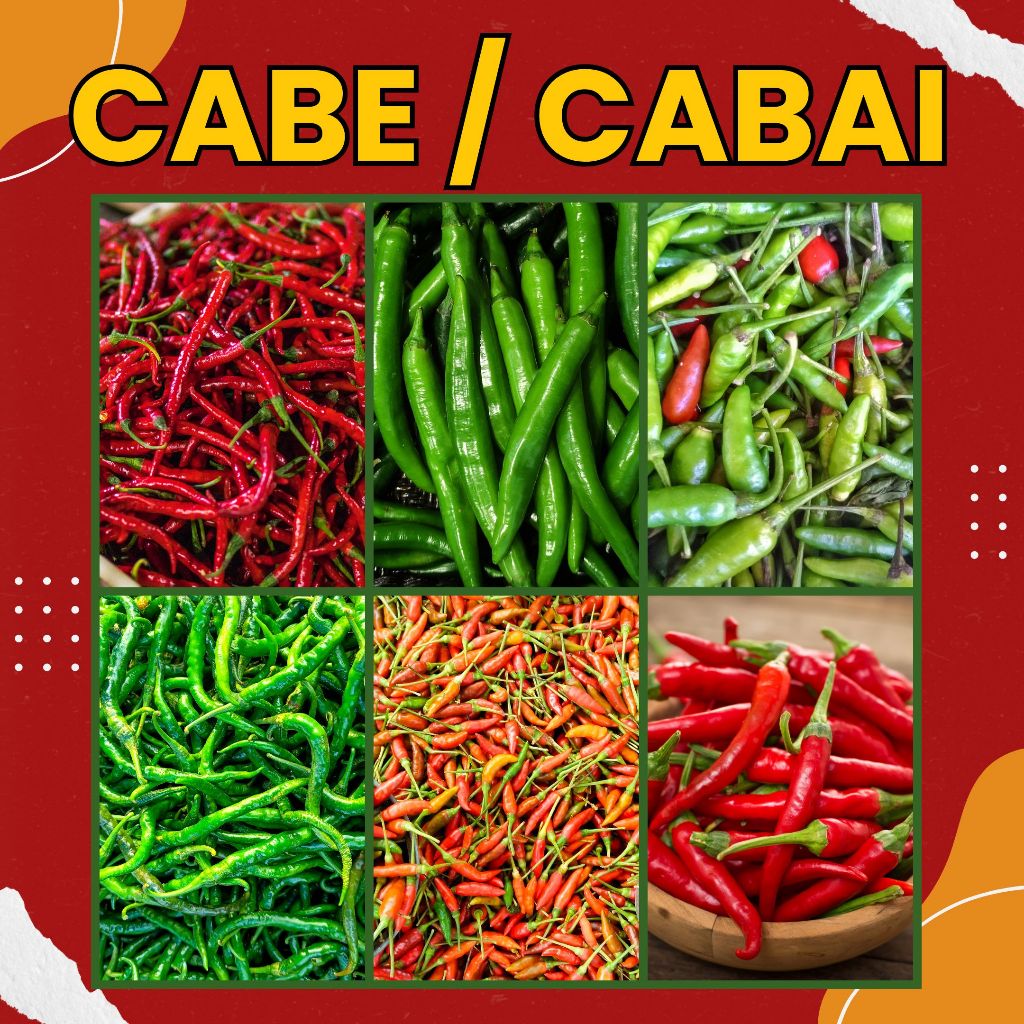

CABE - CABAI RAWIT / MERAH / HIJAU / TANJUNG / KERITING