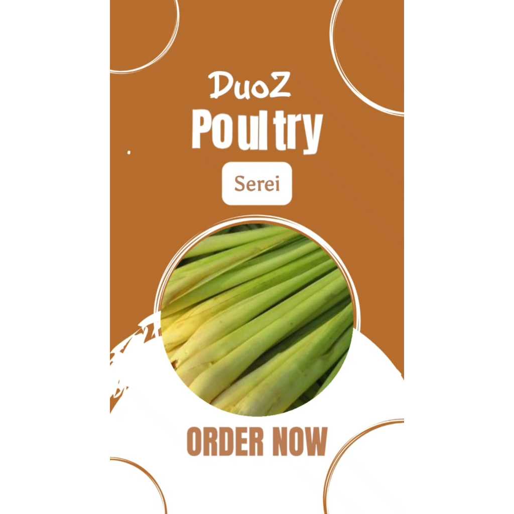 

Serai Bumbu Dapur Murah Meriah